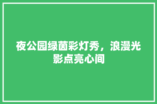 夜公园绿茵彩灯秀，浪漫光影点亮心间