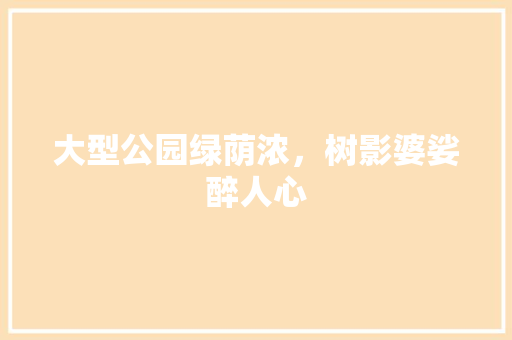 大型公园绿荫浓，树影婆娑醉人心