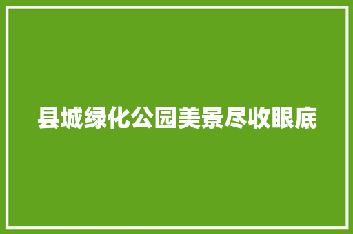 县城绿化公园美景尽收眼底