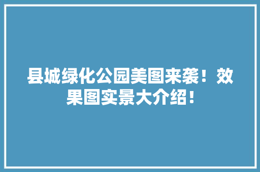 县城绿化公园美图来袭！效果图实景大介绍！