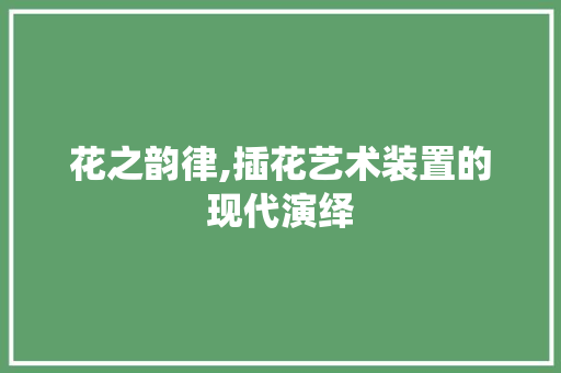 花之韵律,插花艺术装置的现代演绎