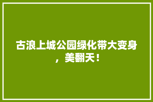 古浪上城公园绿化带大变身，美翻天！