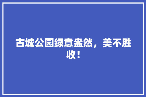 古城公园绿意盎然，美不胜收！