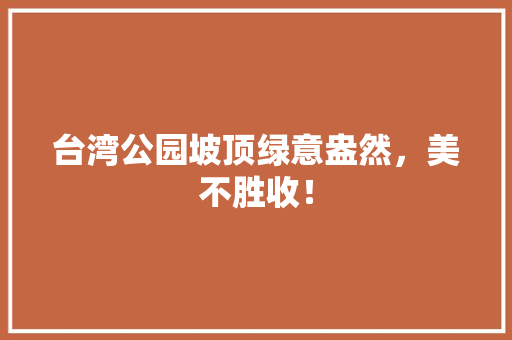台湾公园坡顶绿意盎然，美不胜收！