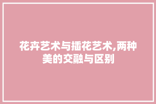 花卉艺术与插花艺术,两种美的交融与区别