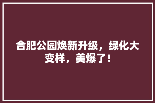 合肥公园焕新升级，绿化大变样，美爆了！