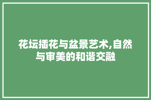 花坛插花与盆景艺术,自然与审美的和谐交融