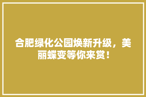 合肥绿化公园焕新升级，美丽蝶变等你来赏！