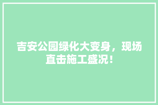 吉安公园绿化大变身，现场直击施工盛况！