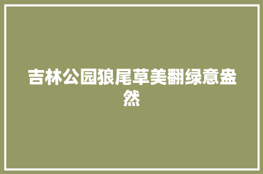 吉林公园狼尾草美翻绿意盎然