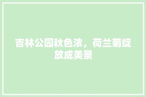 吉林公园秋色浓，荷兰菊绽放成美景