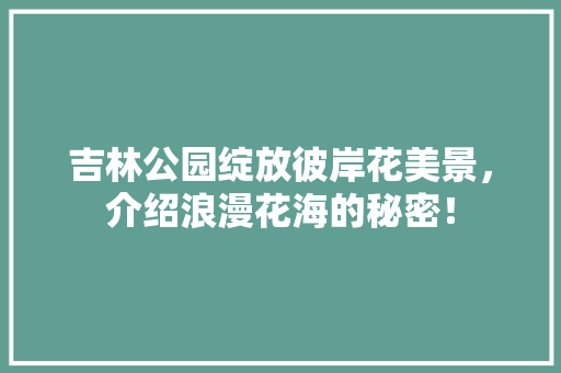 吉林公园绽放彼岸花美景，介绍浪漫花海的秘密！