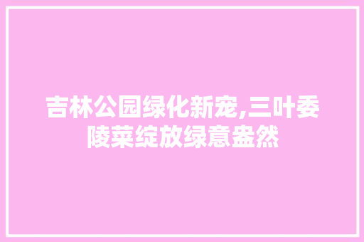 吉林公园绿化新宠,三叶委陵菜绽放绿意盎然