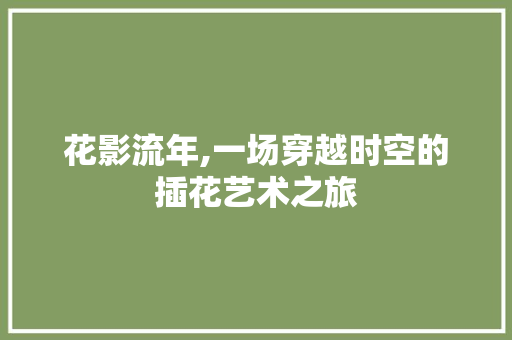 花影流年,一场穿越时空的插花艺术之旅