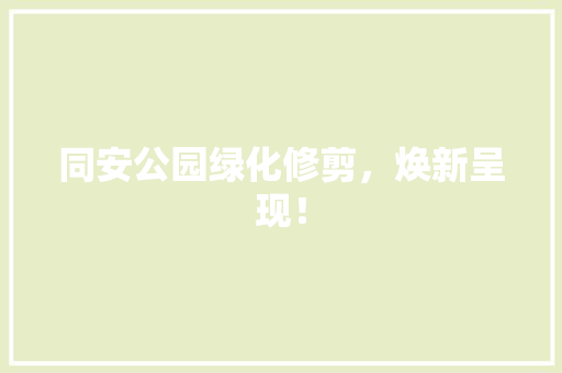 同安公园绿化修剪，焕新呈现！