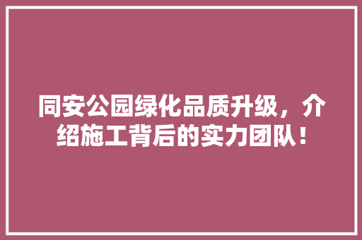 同安公园绿化品质升级，介绍施工背后的实力团队！