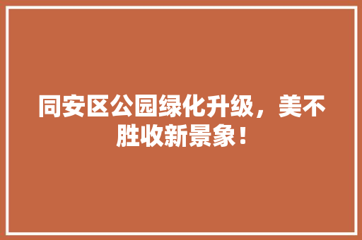 同安区公园绿化升级，美不胜收新景象！