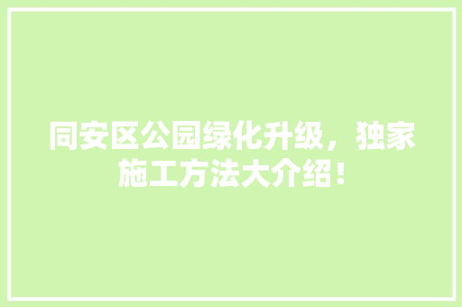 同安区公园绿化升级，独家施工方法大介绍！