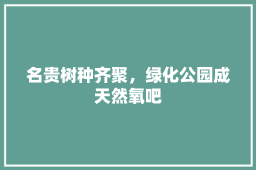名贵树种齐聚，绿化公园成天然氧吧