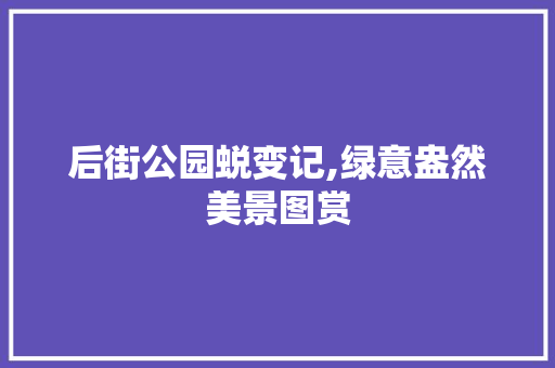后街公园蜕变记,绿意盎然美景图赏