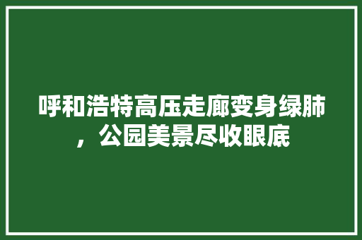呼和浩特高压走廊变身绿肺，公园美景尽收眼底
