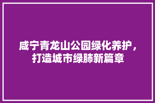 咸宁青龙山公园绿化养护，打造城市绿肺新篇章