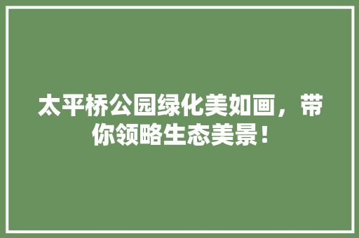 太平桥公园绿化美如画，带你领略生态美景！