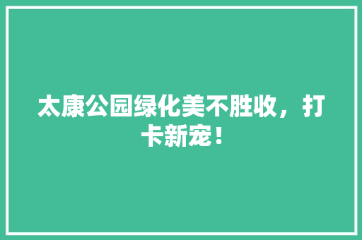 太康公园绿化美不胜收，打卡新宠！