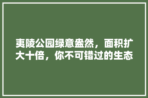夷陵公园绿意盎然，面积扩大十倍，你不可错过的生态氧吧！