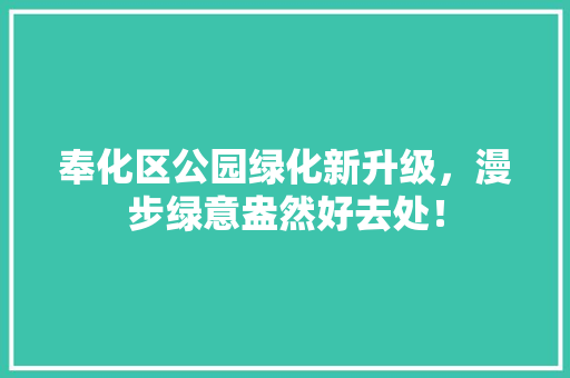 奉化区公园绿化新升级，漫步绿意盎然好去处！