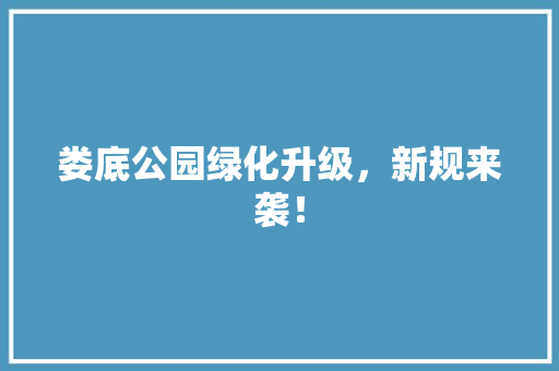 娄底公园绿化升级，新规来袭！