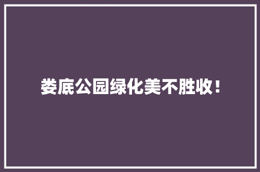 娄底公园绿化美不胜收！