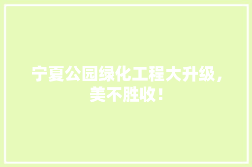 宁夏公园绿化工程大升级，美不胜收！