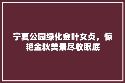 宁夏公园绿化金叶女贞，惊艳金秋美景尽收眼底