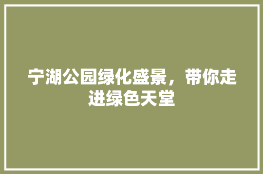 宁湖公园绿化盛景，带你走进绿色天堂