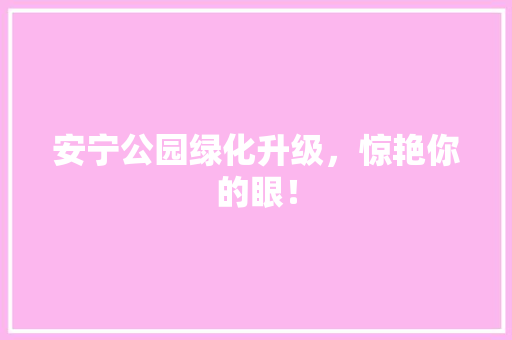 安宁公园绿化升级，惊艳你的眼！