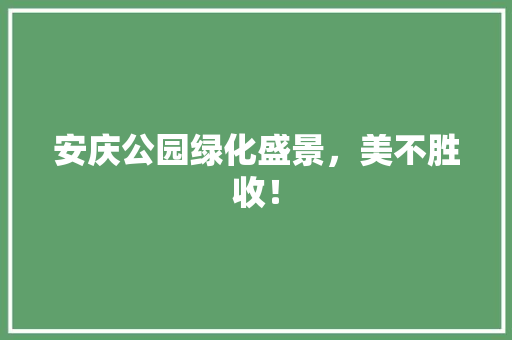安庆公园绿化盛景，美不胜收！
