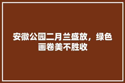 安徽公园二月兰盛放，绿色画卷美不胜收