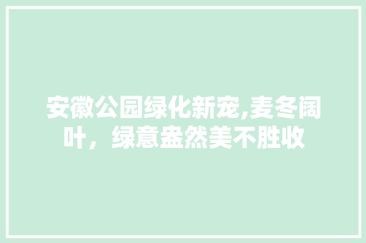 安徽公园绿化新宠,麦冬阔叶，绿意盎然美不胜收