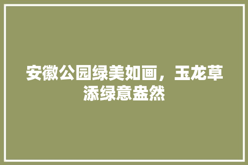 安徽公园绿美如画，玉龙草添绿意盎然