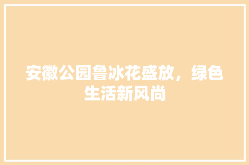 安徽公园鲁冰花盛放，绿色生活新风尚