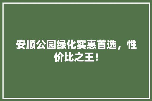安顺公园绿化实惠首选，性价比之王！