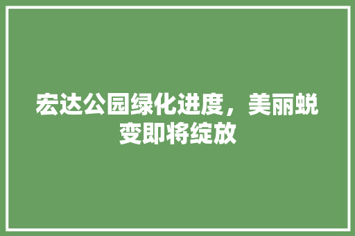 宏达公园绿化进度，美丽蜕变即将绽放