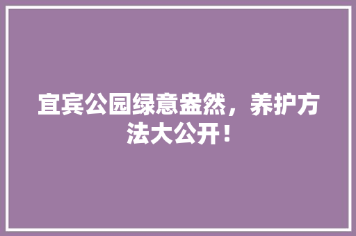 宜宾公园绿意盎然，养护方法大公开！