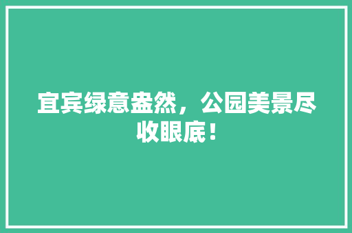 宜宾绿意盎然，公园美景尽收眼底！