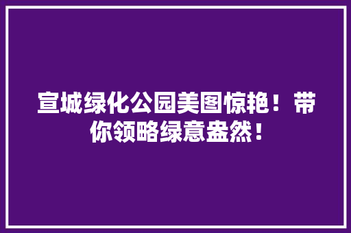宣城绿化公园美图惊艳！带你领略绿意盎然！