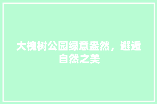 大槐树公园绿意盎然，邂逅自然之美