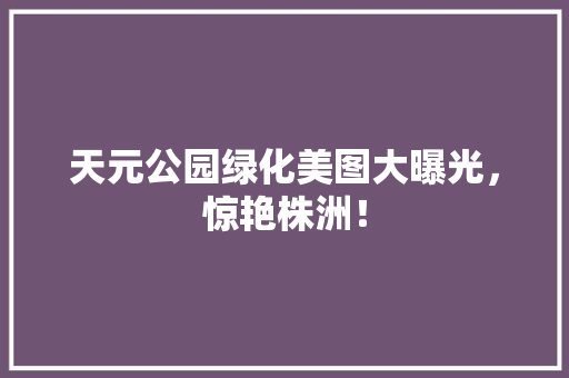 天元公园绿化美图大曝光，惊艳株洲！