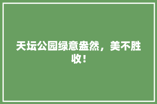 天坛公园绿意盎然，美不胜收！