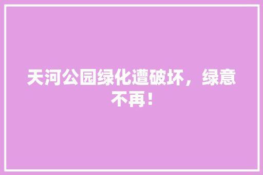 天河公园绿化遭破坏，绿意不再！